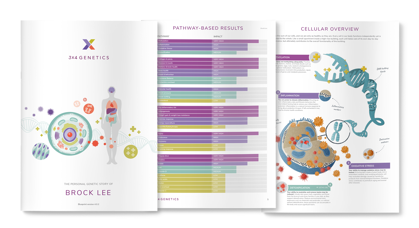 3X4ブループリントレポートのプレビュー