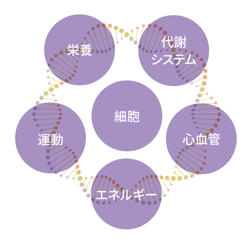 Blueprint遺伝子検査の特徴